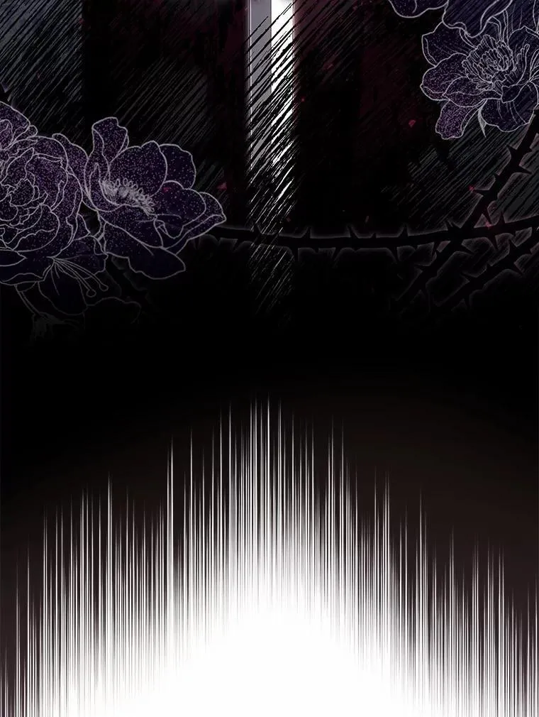 48.如愿43