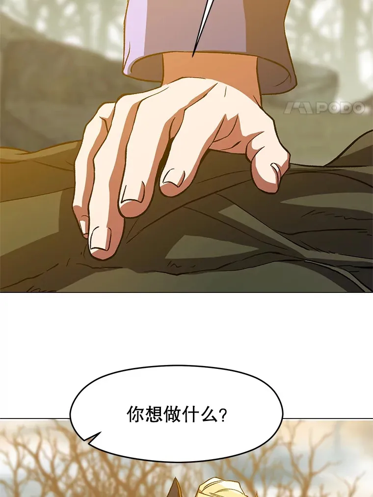 37.精灵之森81