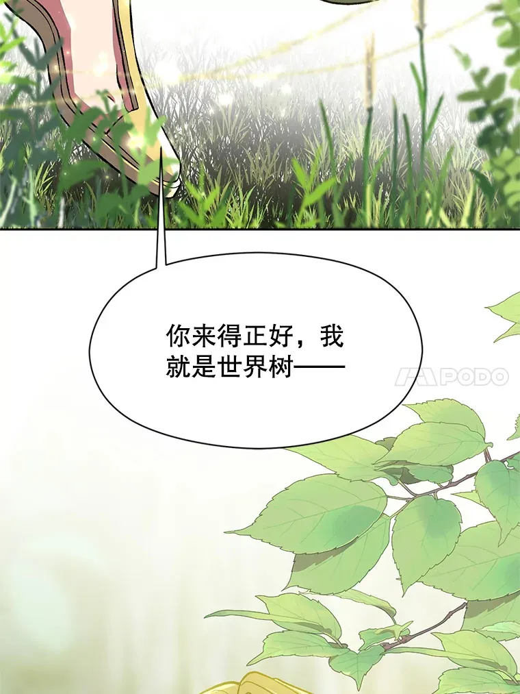 38.世界树29