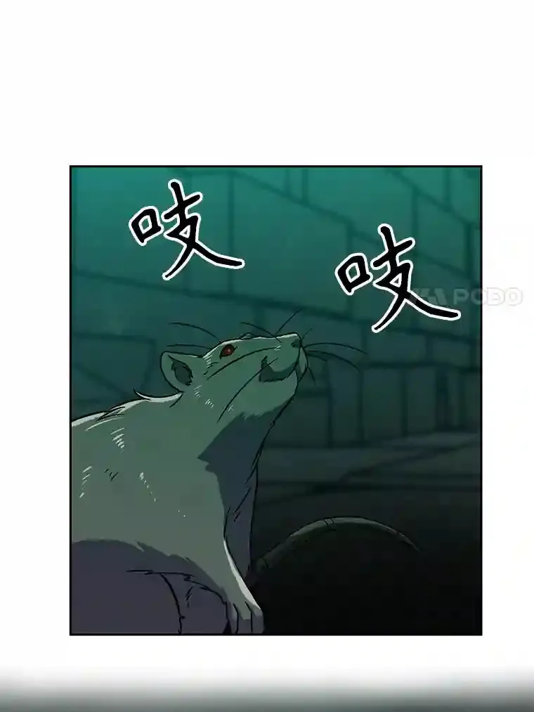 27.偶遇预言家74