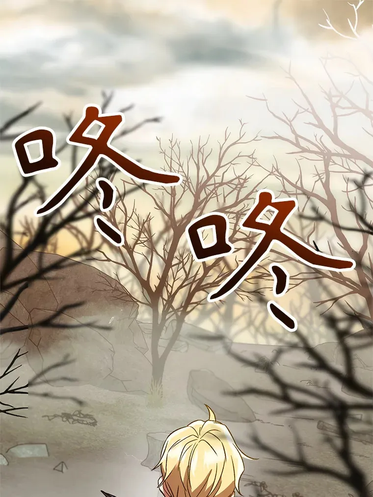 37.精灵之森79