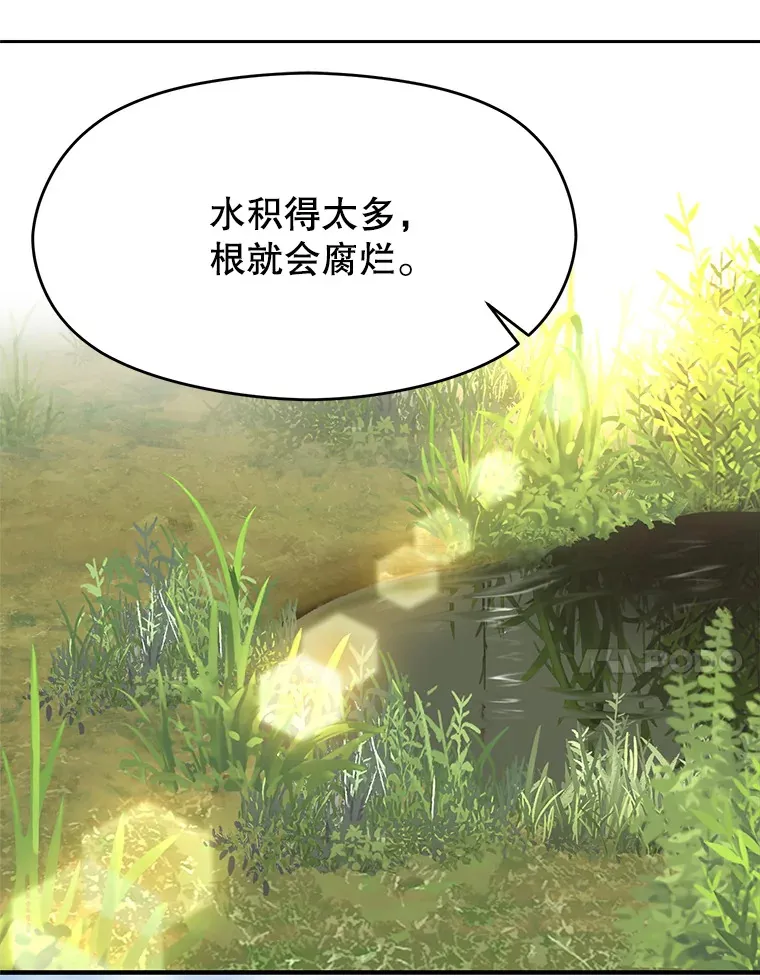 46.抵达教国23