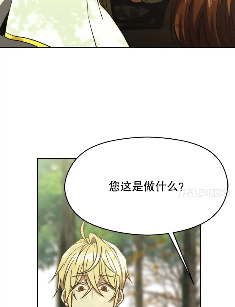 75.打赌40