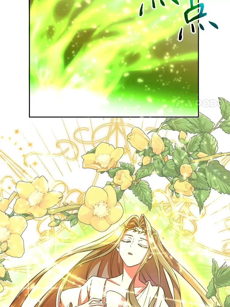 38.世界树26