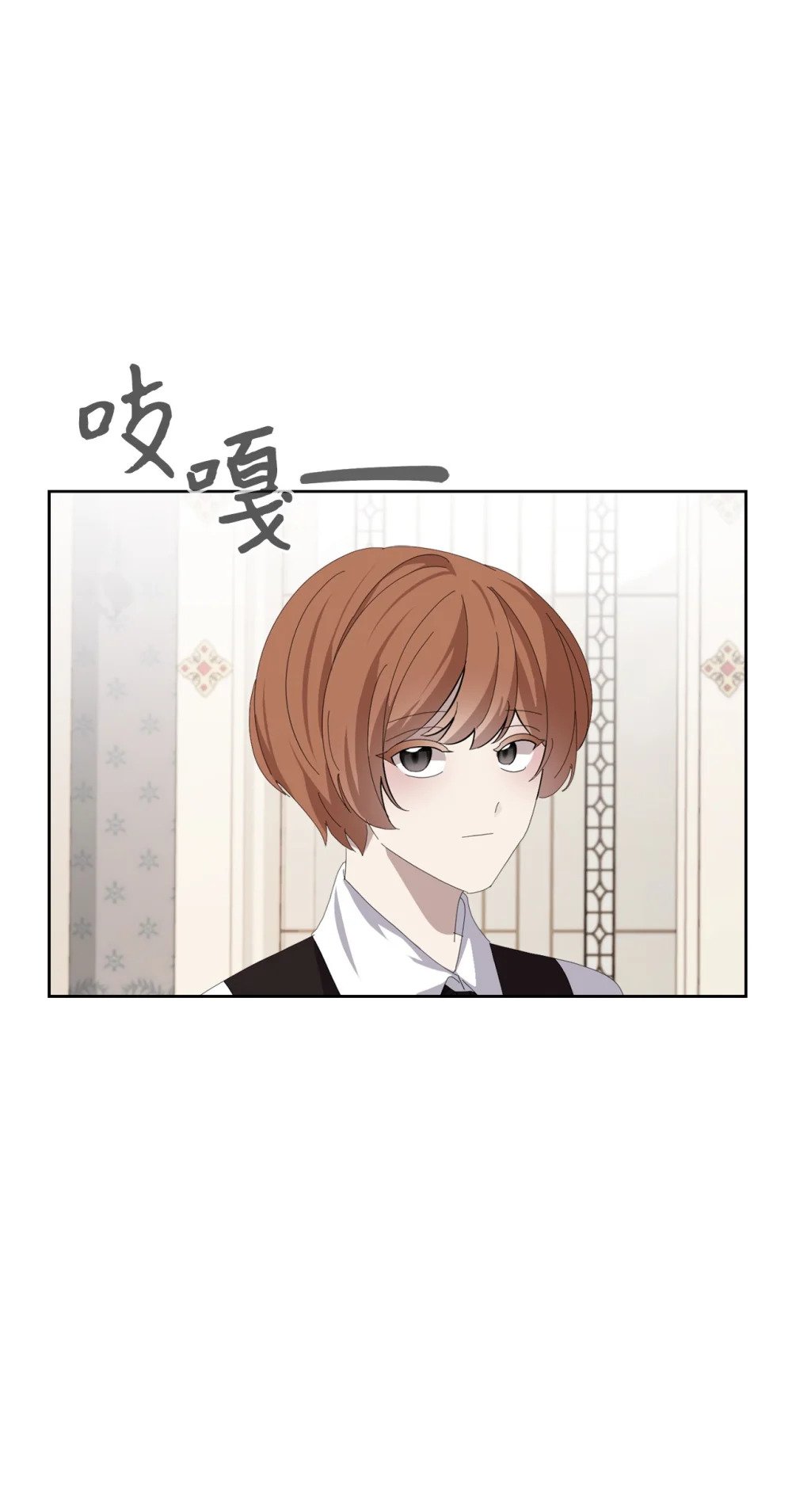 24 被领养49