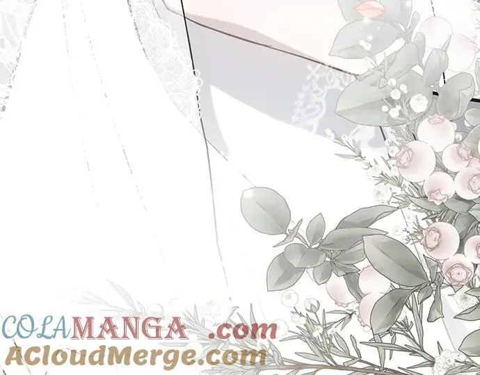 完结话244