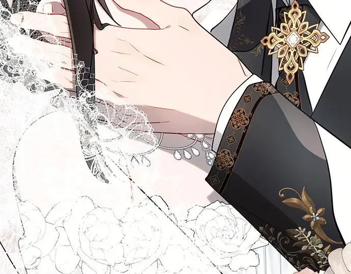 完结话242