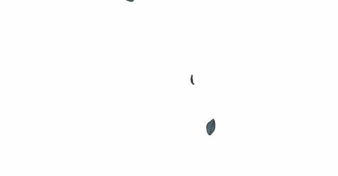 第33话69