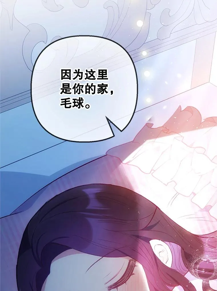 31.决心守护85