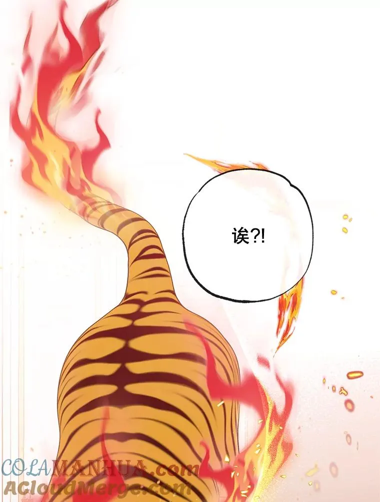 31.决心守护40