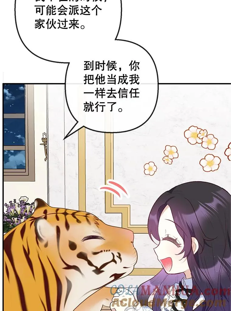 31.决心守护48