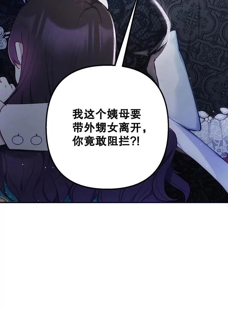12.又见姨母113