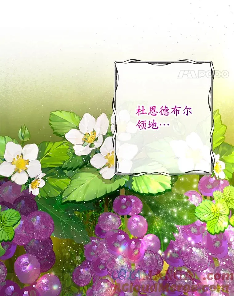 77.葡萄庄园24
