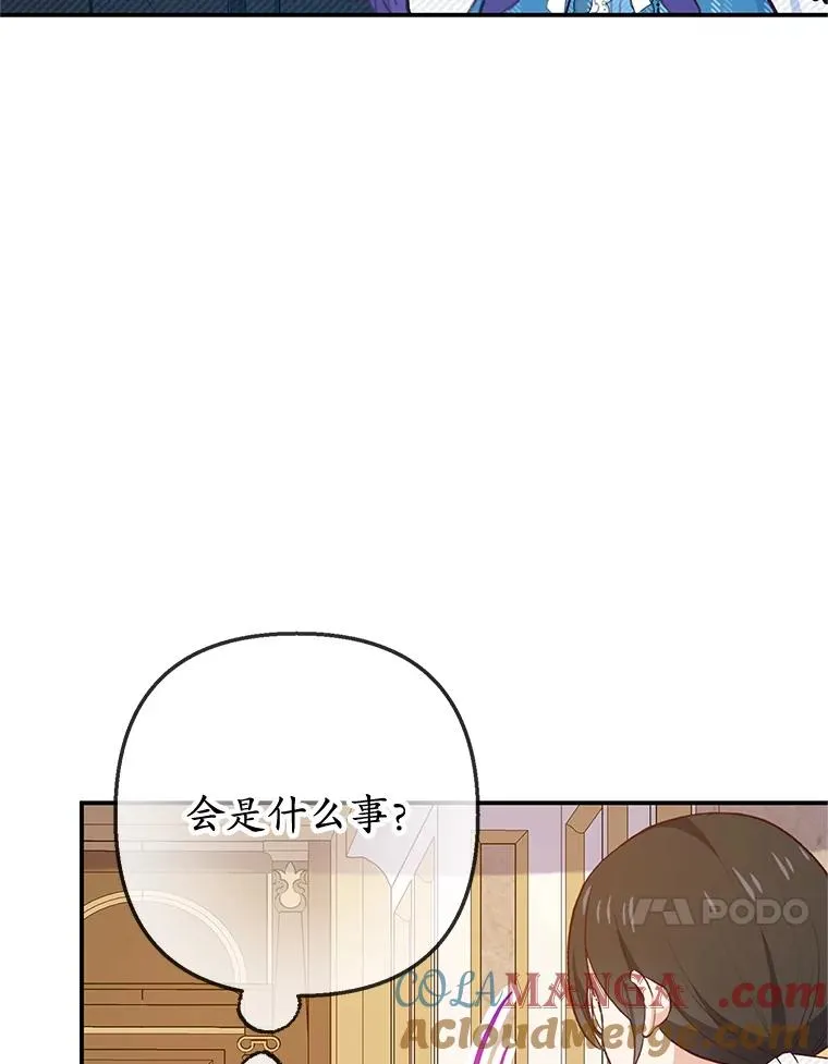 74.赝品珠宝20