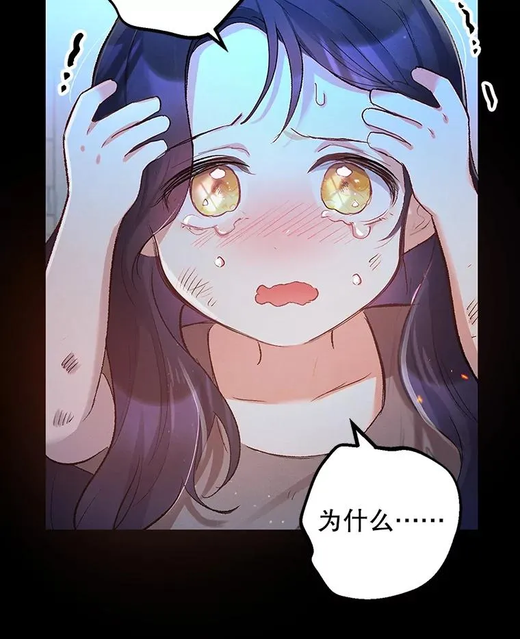 1.弥雅5