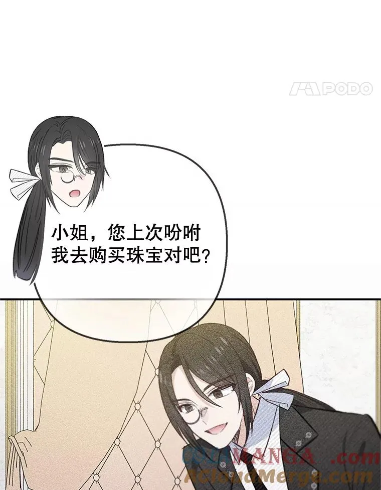 74.赝品珠宝24
