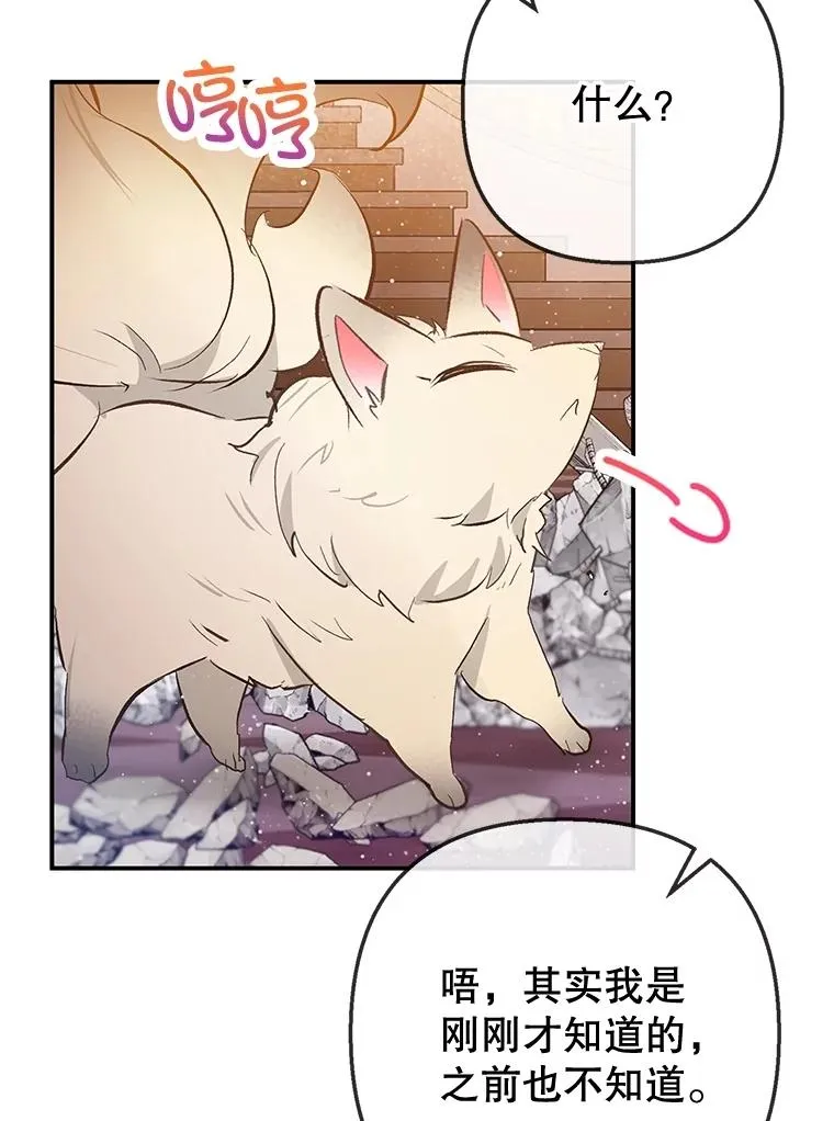 75.夫人？7