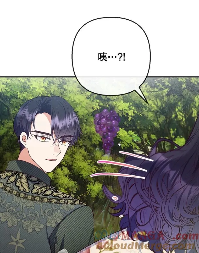 77.葡萄庄园108