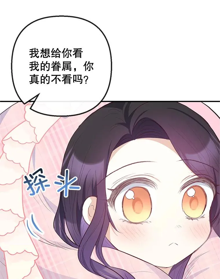 31.决心守护31
