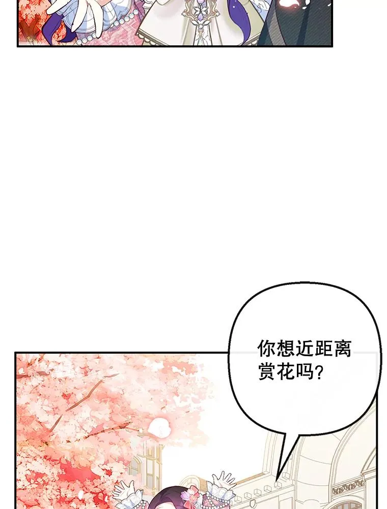 33.生日礼物38