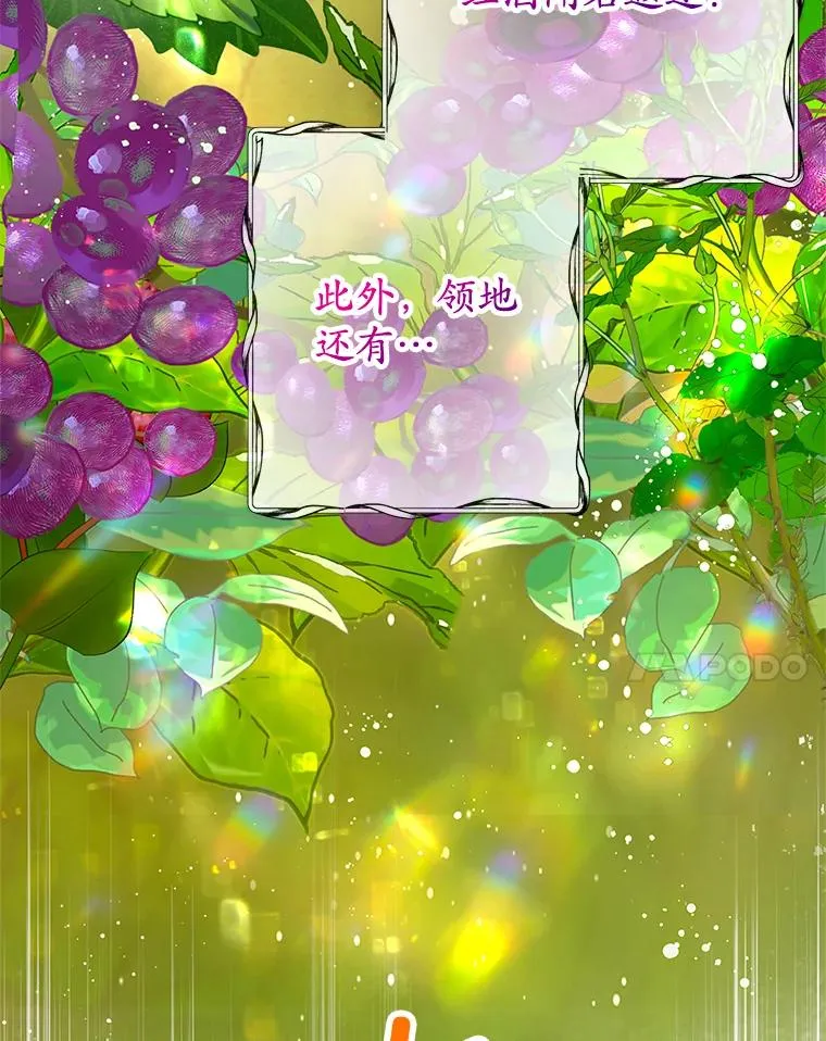 77.葡萄庄园27