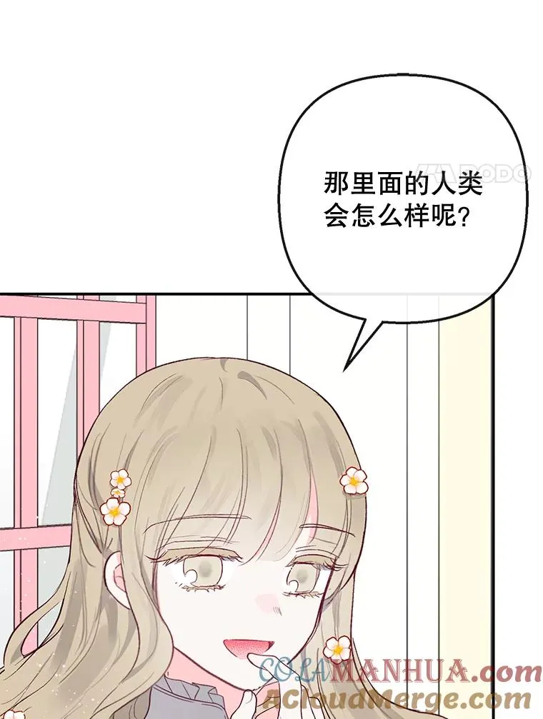 39.凯恩哥哥52