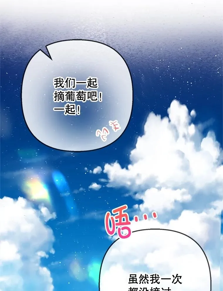 77.葡萄庄园69