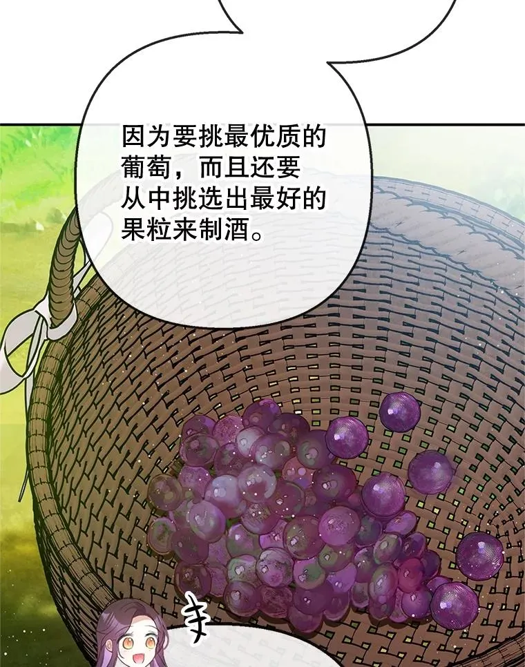 77.葡萄庄园98