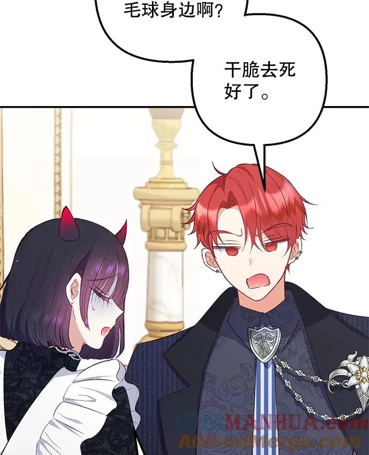 13.阿贝尔36