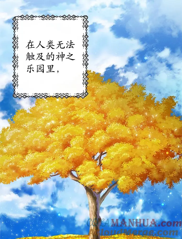 1.弥雅52