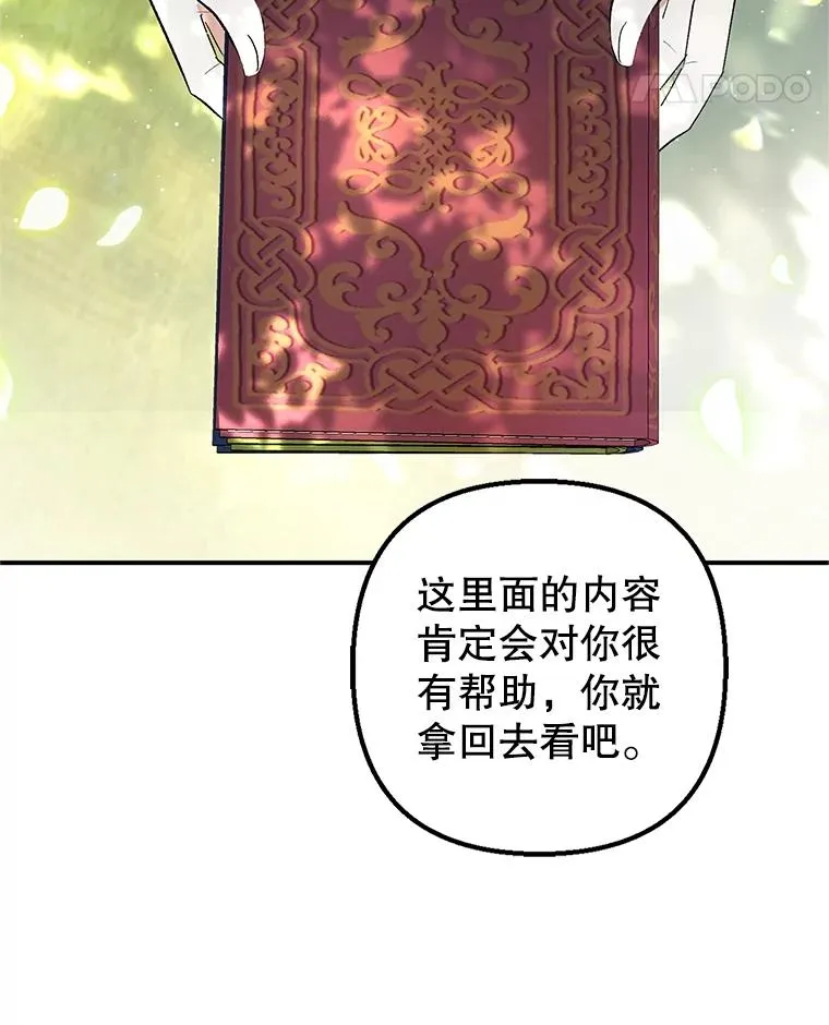 26.王位争夺95