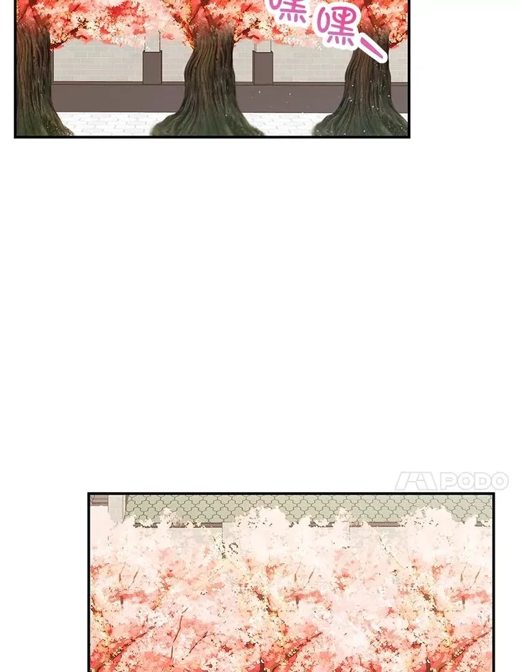 33.生日礼物76