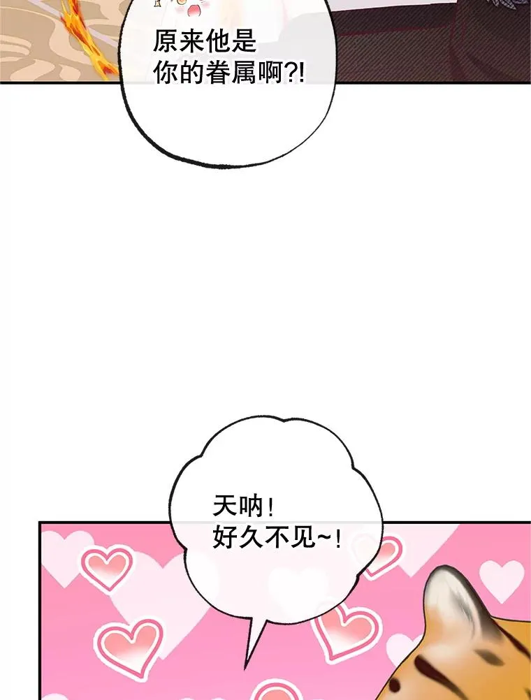 31.决心守护42