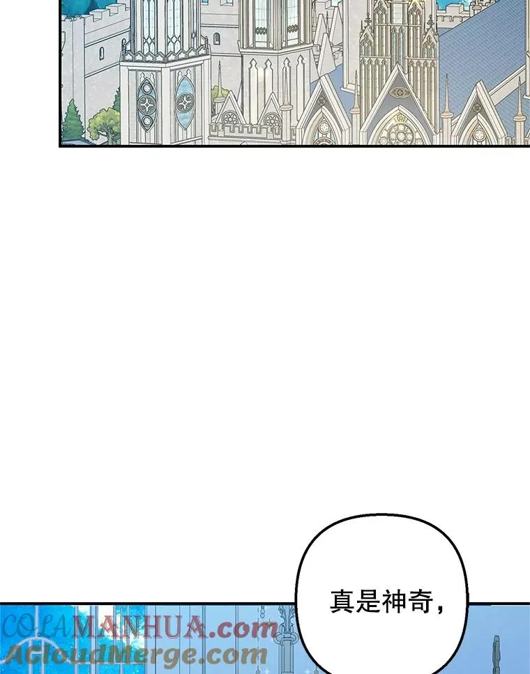 29.沉睡实验40