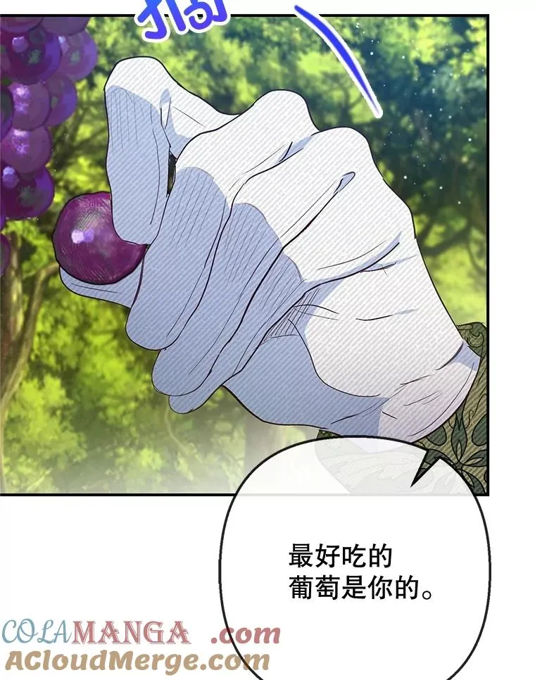 77.葡萄庄园100
