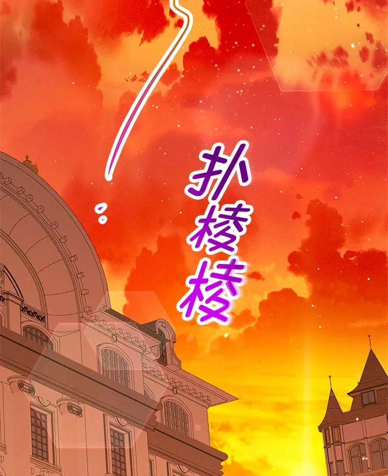 48.市场调查114