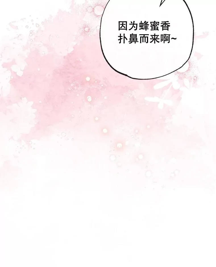 42.尤里尔9