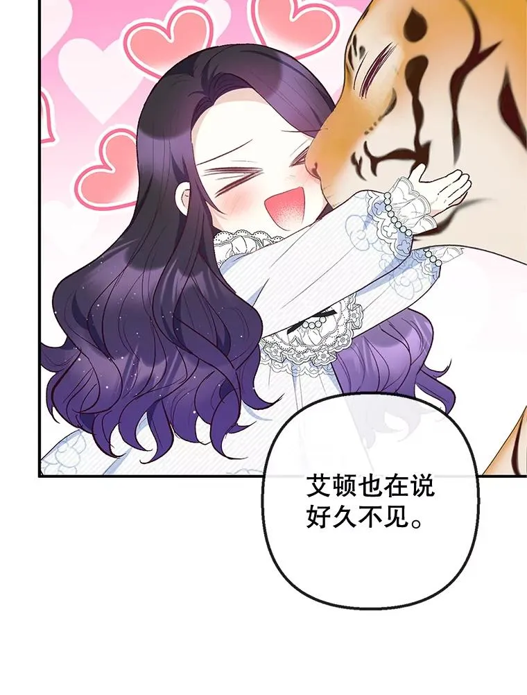 31.决心守护43