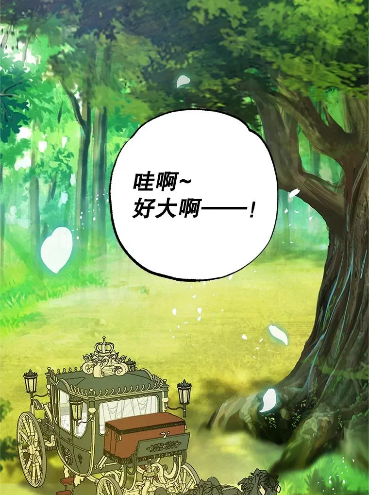 19.争执2