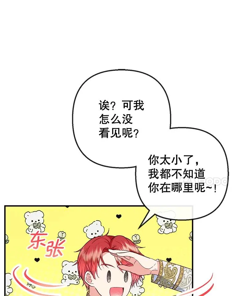 31.决心守护23
