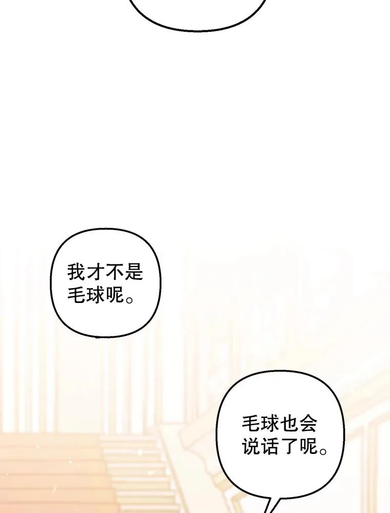 13.阿贝尔25