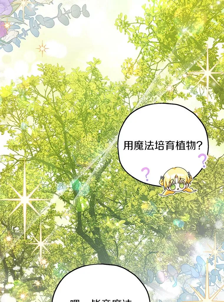 64.神石61