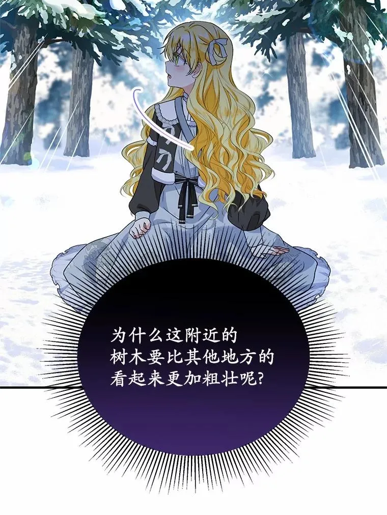64.神石15