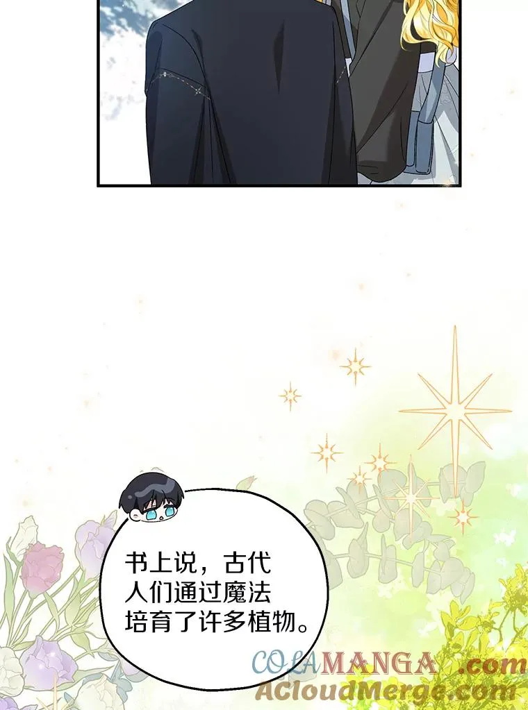 64.神石60