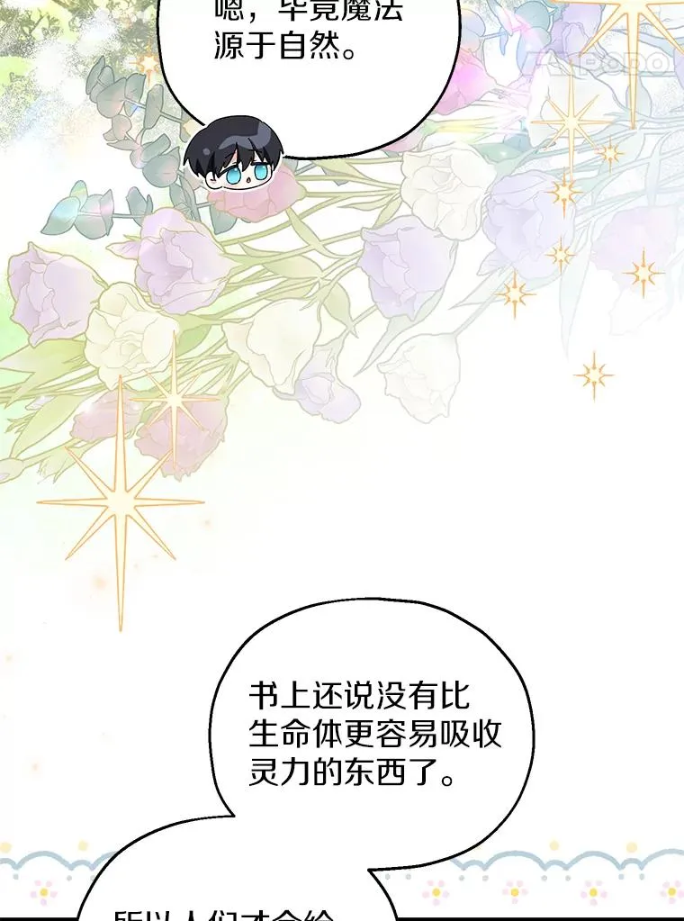 64.神石62