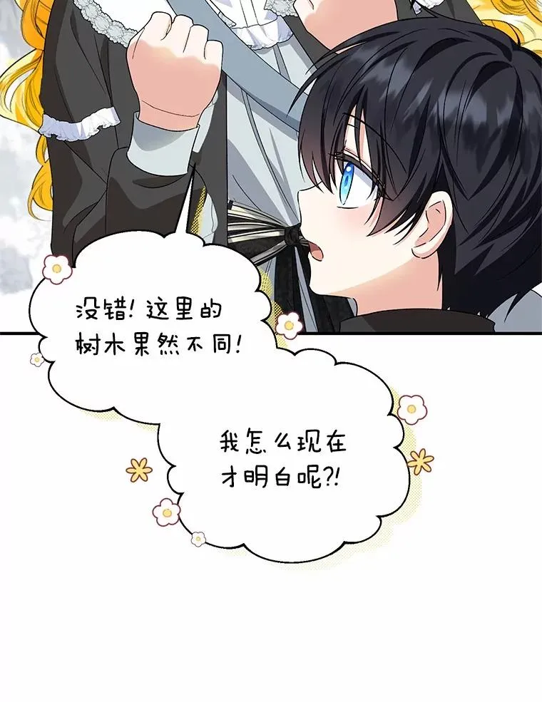 64.神石67