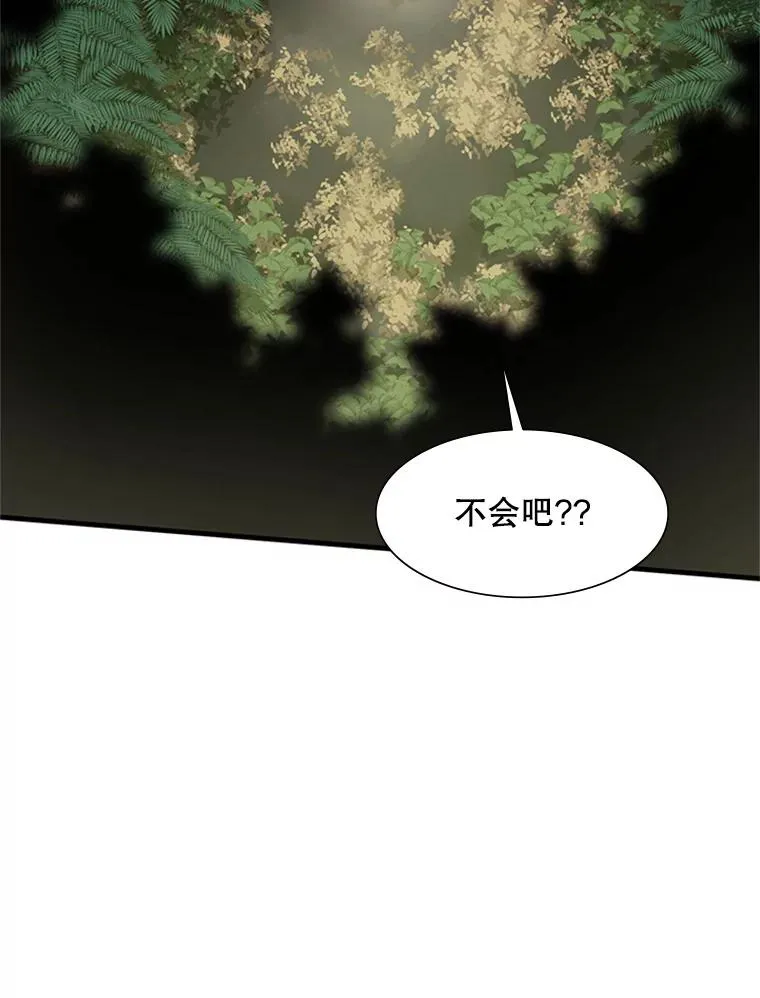 52.密林（1）63