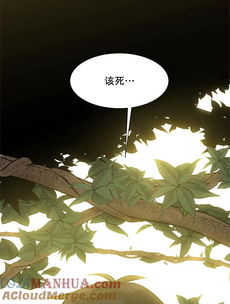 53.密林（2）4