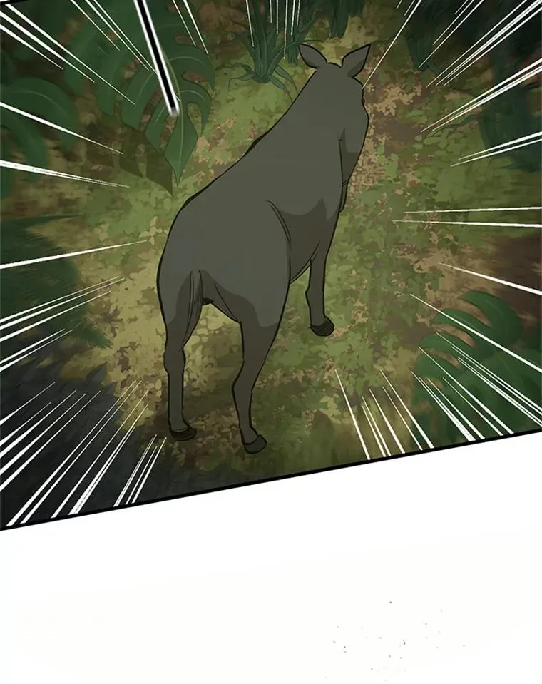 59.密林（8）15