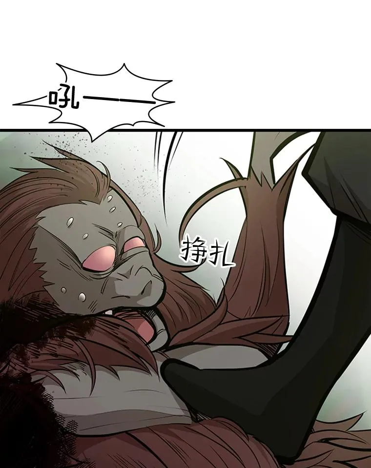 54.密林（3）38